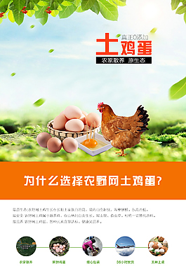鸡蛋详情页