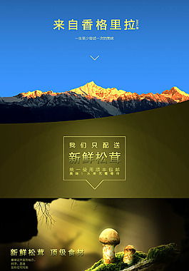 淘宝 松茸 野生菌 美食 详情页 光效