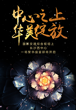 绽放