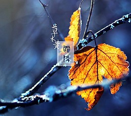 中国传统二十四节气