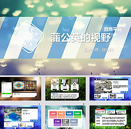 微商平台ppt模板