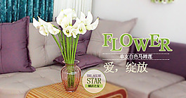 950马蹄莲海报