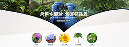 淘宝家具海报木蜡油