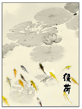 绿荷