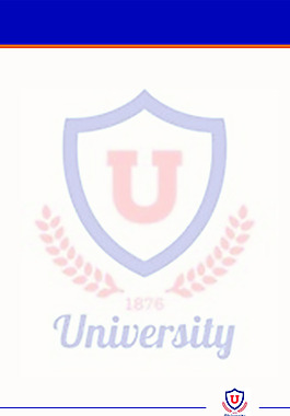 学校规章制度模版设计