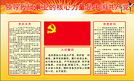 中国共产党义务条例