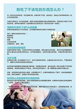 宠物医院展板图片