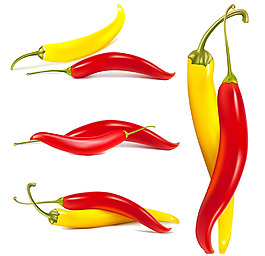 辣椒分层图