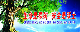 生命是棵树