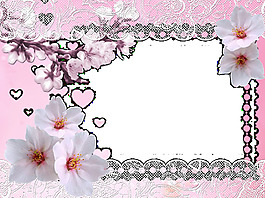 桃花边框
