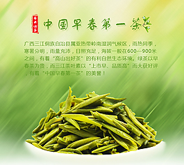 淘宝banner 茶叶 春茶 广告