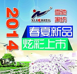 雪驰