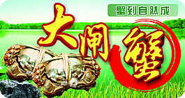 大闸蟹X展板设计