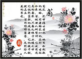 水墨中国风菊花画册