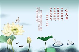 荷花诗词