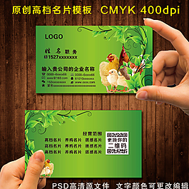 养鸡名片图片