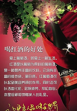 葡萄酒宣传海报