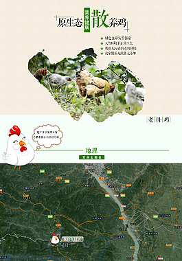 母鸡详情页