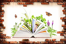 清新书本背景墙