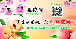 水蜜桃单页图片