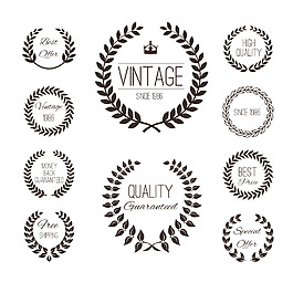 橄榄枝花边图标设计