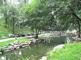 河道图片