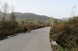 少林景区图片