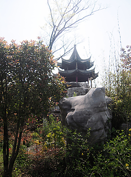 湿地公园图片