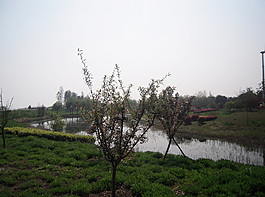 无锡太湖湿地公园图片
