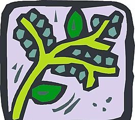 蔬菜