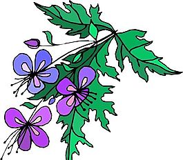 花朵 花草 鲜花 矢量 EPS格式_1540