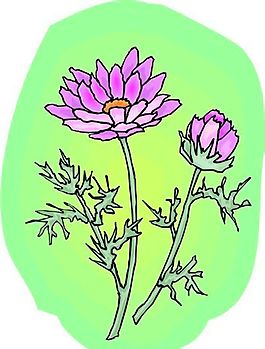 花朵 花草 鲜花 矢量 EPS格式_1502