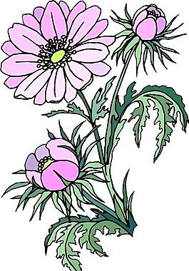 花朵 花草 鲜花 矢量 EPS格式_1420