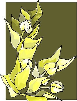 花朵 花草 鲜花 矢量 EPS格式_0794