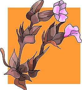 花朵 花草 鲜花 矢量 EPS格式_0789
