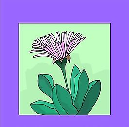 花朵 花草 鲜花 矢量 EPS格式_0723