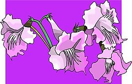 花朵 花草 鲜花 矢量 EPS格式_0518
