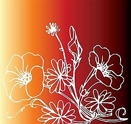 矢量花朵 花卉 线描 牵牛花 矢量素材 ai格式