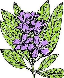 花卉 植物 矢量素材 EPS_1015