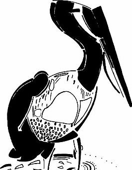 鸟类漫画