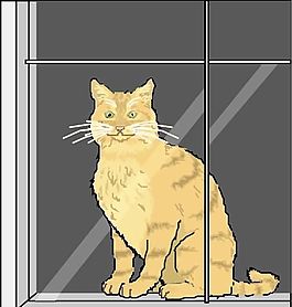 猫