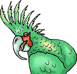 各种鸟类 鸟 动物 矢量素材 EPS格式_1221