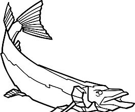 0029卡通鱼图片喇叭图片各种卡通鱼仿雕刻九鱼荷花玄关图jpg格式高速