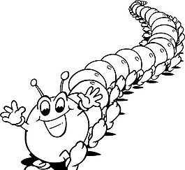 昆虫世界 矢量素材 eps格式_0005