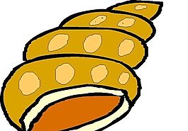 海螺 海洋动物 卡通动物 日本矢量素材 ai格式_02