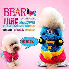 动物  服装  小熊