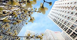 北京城市延时视频