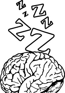 脑细胞 结构模型 矢量素材 eps格式_0016