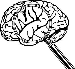 脑细胞 结构模型 矢量素材 eps格式_0015