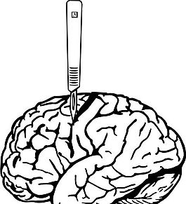 脑细胞 结构模型 矢量素材 eps格式_0014